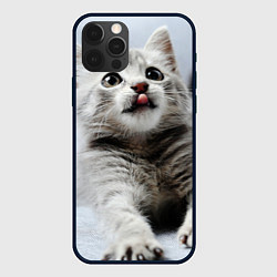 Чехол для iPhone 12 Pro Серый котенок, цвет: 3D-черный