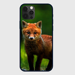 Чехол для iPhone 12 Pro Маленький лисенок, цвет: 3D-черный