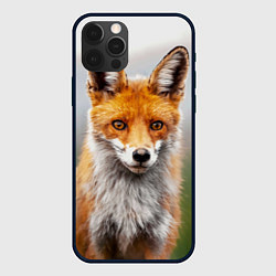 Чехол для iPhone 12 Pro Рыжая лисица, цвет: 3D-черный