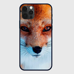 Чехол для iPhone 12 Pro Мордочка лисы, цвет: 3D-черный