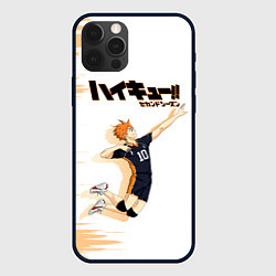 Чехол iPhone 12 Pro Шоё Хината Haikyuu!!