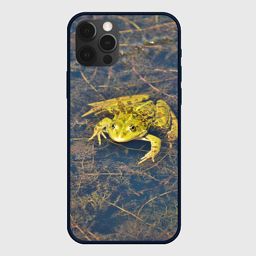 Чехол iPhone 12 Pro Лягушка / 3D-Черный – фото 1