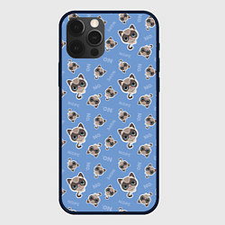 Чехол для iPhone 12 Pro Недовольный Кот, цвет: 3D-черный