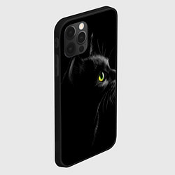 Чехол для iPhone 12 Pro Черный кот, цвет: 3D-черный — фото 2