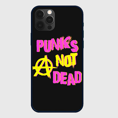 Чехол iPhone 12 Pro Панк анархия / 3D-Черный – фото 1