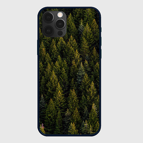 Чехол iPhone 12 Pro Лес вечный / 3D-Черный – фото 1