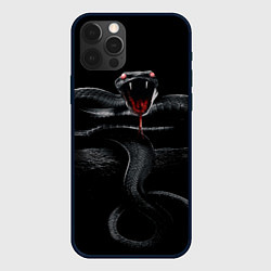 Чехол iPhone 12 Pro ЗМЕЯ НА КАМНЕ НА ЧЕРНОМ ФОНЕ