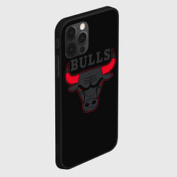 Чехол для iPhone 12 Pro CHICAGO BULLS ЧИКАГО БУЛЛС ЯРОСТЬ БЫКА, цвет: 3D-черный — фото 2