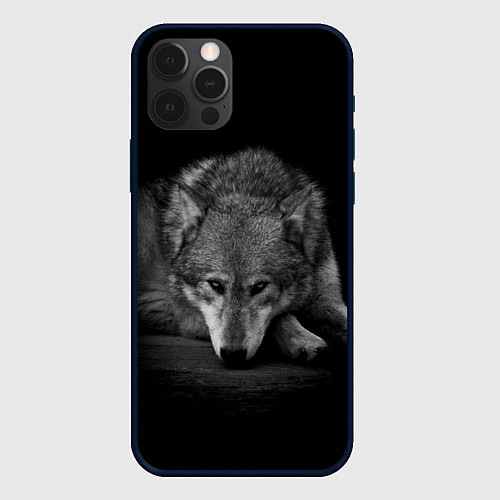 Чехол iPhone 12 Pro Волк, на черном фоне / 3D-Черный – фото 1