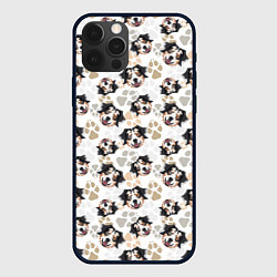 Чехол iPhone 12 Pro Собака Австралийская Овчарка