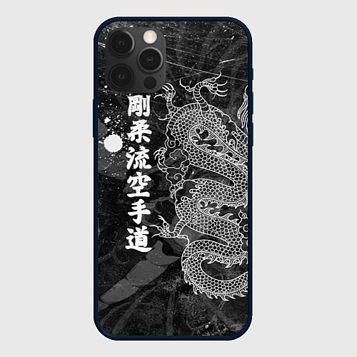 Чехол iPhone 12 Pro Токийский Дракон Иероглифы Dragon Japan / 3D-Черный – фото 1