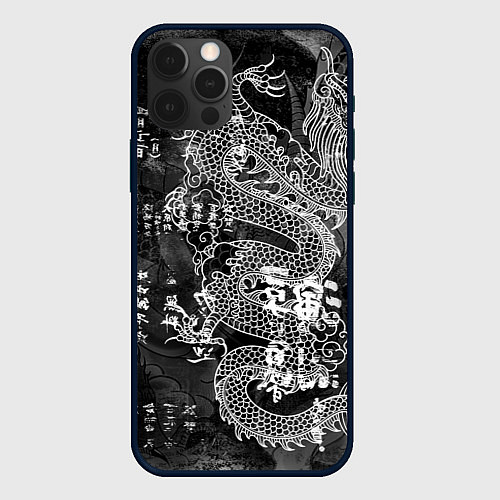 Чехол iPhone 12 Pro Dragon Fire Иероглифы Японский Дракон / 3D-Черный – фото 1