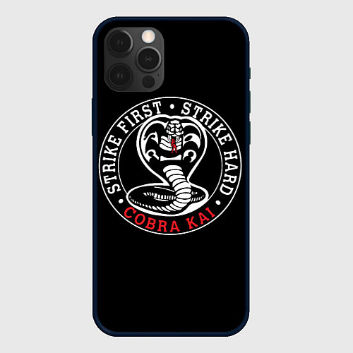 Чехол iPhone 12 Pro Кобра Кай - Cobra Kai / 3D-Черный – фото 1