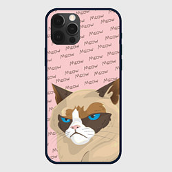 Чехол iPhone 12 Pro Angry Cat Злой кот