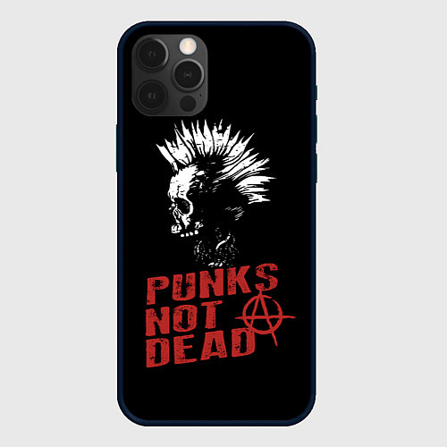 Чехол iPhone 12 Pro Punks Not Dead / 3D-Черный – фото 1