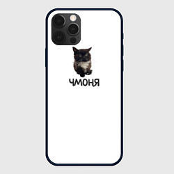 Чехол для iPhone 12 Pro Кот чмоня, цвет: 3D-черный