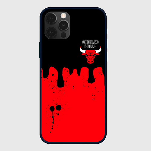 Чехол iPhone 12 Pro Chicago Bulls Чикаго Буллз Логотип / 3D-Черный – фото 1