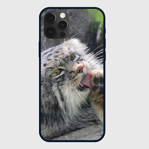 Чехол iPhone 12 Pro Манул Лапка / 3D-Черный – фото 1
