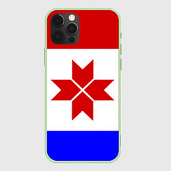 Чехол для iPhone 12 Pro МОРДОВИЯ РЕСПУБЛИКА, цвет: 3D-салатовый