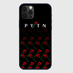 Чехол iPhone 12 Pro Payton Moormeie pattern rose