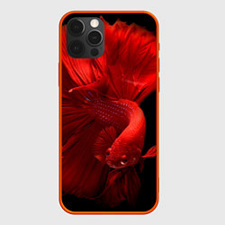 Чехол для iPhone 12 Pro Бойцовская-рыбка, цвет: 3D-красный