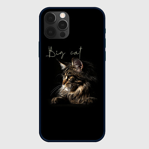 Чехол iPhone 12 Pro Big cat Maine Coon / 3D-Черный – фото 1