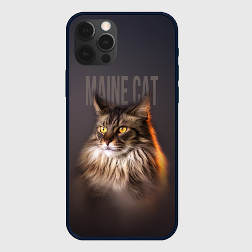 Чехол iPhone 12 Pro Maine cat / 3D-Черный – фото 1