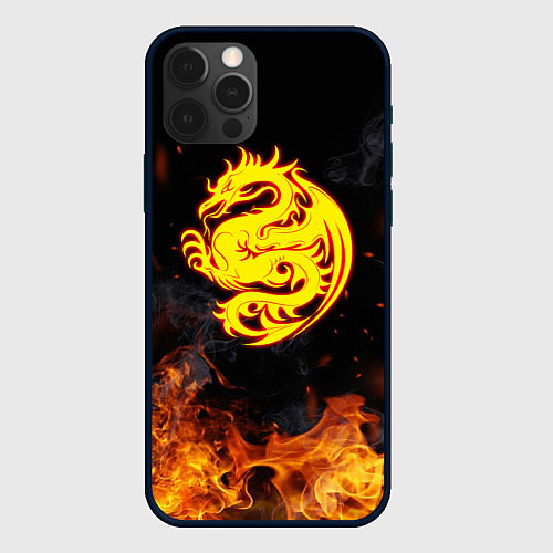 Чехол iPhone 12 Pro Огнедышащий дракон и пламя / 3D-Черный – фото 1