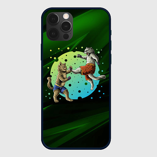 Чехол iPhone 12 Pro Кошачий бой - карате / 3D-Черный – фото 1