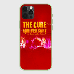 Чехол iPhone 12 Pro Anniversary: 1978 - 2018 Live In Hyde Park London