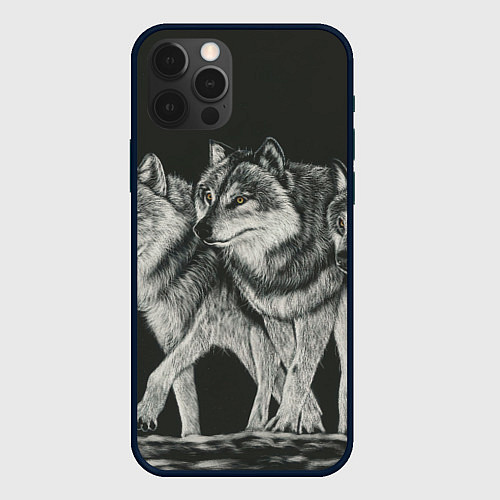 Чехол iPhone 12 Pro Три волка / 3D-Черный – фото 1