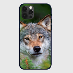Чехол iPhone 12 Pro Волк на фоне зелени