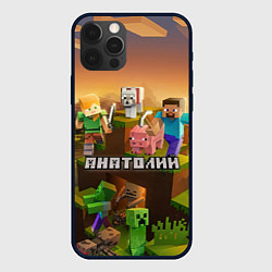 Чехол для iPhone 12 Pro Анатолий Minecraft, цвет: 3D-черный