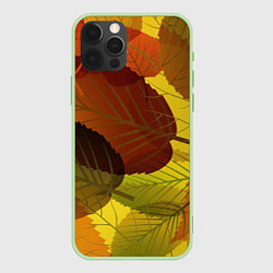 Чехол iPhone 12 Pro Осенние крупные листья