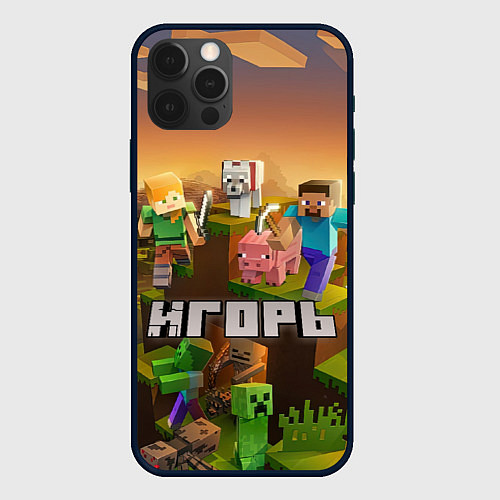 Чехол iPhone 12 Pro Игорь Minecraft / 3D-Черный – фото 1