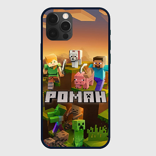 Чехол iPhone 12 Pro Роман Minecraft / 3D-Черный – фото 1