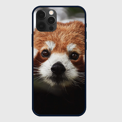 Чехол iPhone 12 Pro Малая панда / 3D-Черный – фото 1