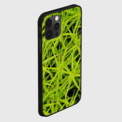 Чехол для iPhone 12 Pro Сфагнум, цвет: 3D-черный — фото 2