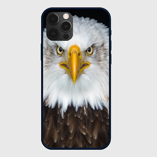 Чехол iPhone 12 Pro Орёл в отражении / 3D-Черный – фото 1