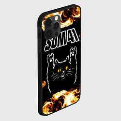 Чехол для iPhone 12 Pro Sum41 рок кот и огонь, цвет: 3D-черный — фото 2