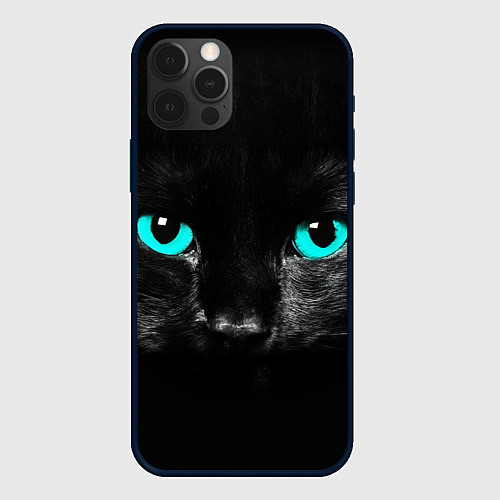 Чехол iPhone 12 Pro Чёрный кот с бирюзовыми глазами / 3D-Черный – фото 1