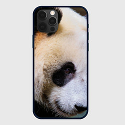 Чехол iPhone 12 Pro Загадочная панда