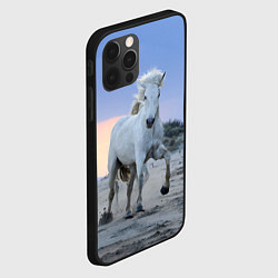 Чехол для iPhone 12 Pro Белый конь, цвет: 3D-черный — фото 2