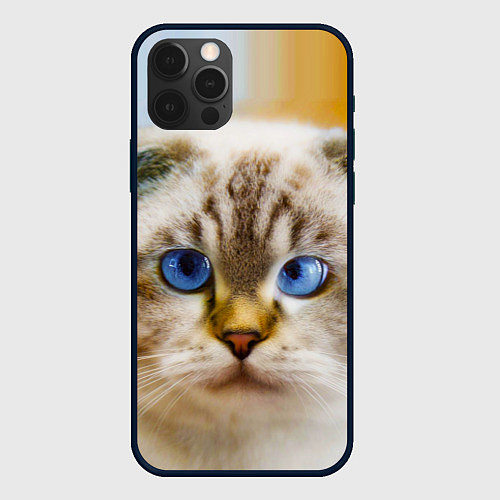 Чехол iPhone 12 Pro Кошка породы шотландская вислоухая косоглазая / 3D-Черный – фото 1