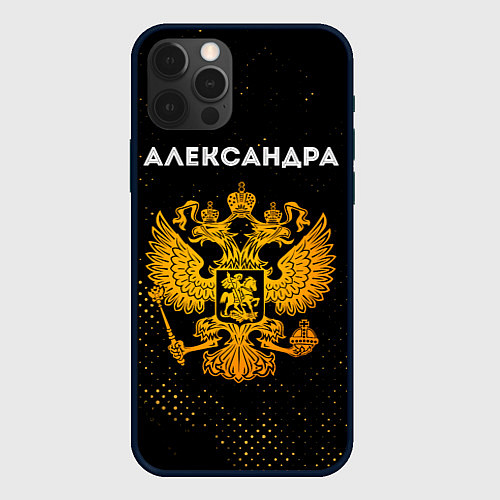 Чехол iPhone 12 Pro Александра и зологой герб РФ / 3D-Черный – фото 1