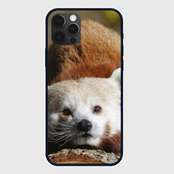 Чехол для iPhone 12 Pro Красная панда ждёт, цвет: 3D-черный