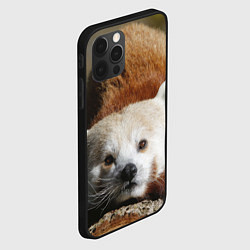 Чехол для iPhone 12 Pro Красная панда ждёт, цвет: 3D-черный — фото 2