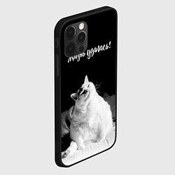 Чехол для iPhone 12 Pro Жирный кот - жизнь удалась, цвет: 3D-черный — фото 2