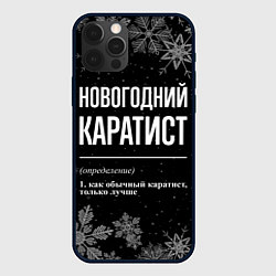 Чехол iPhone 12 Pro Новогодний каратист на темном фоне