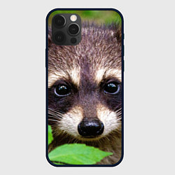 Чехол для iPhone 12 Pro Енот выглядывает, цвет: 3D-черный